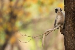 Twenty best places to visit in North India