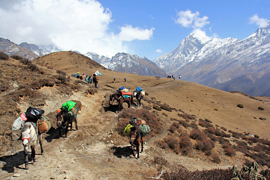 Reizen door Noord-Oost India