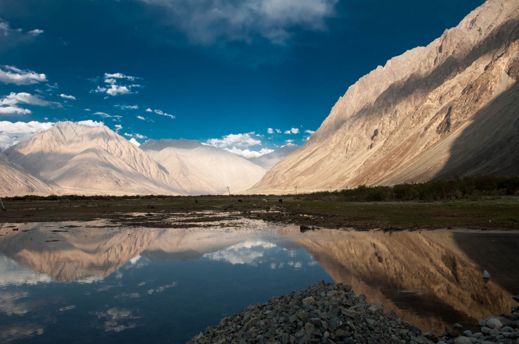 Worth the drive, Beautiful Nubra Valley (Photo Credits)