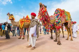 Pushkar Camel Fair Rajasthan