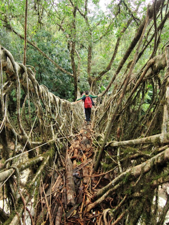 Best sustainable travel routes and ideas for India