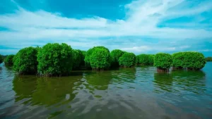 Four travel routes for Kerala