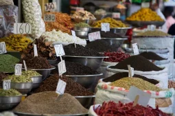 Our impressions as travellers of New Delhi City