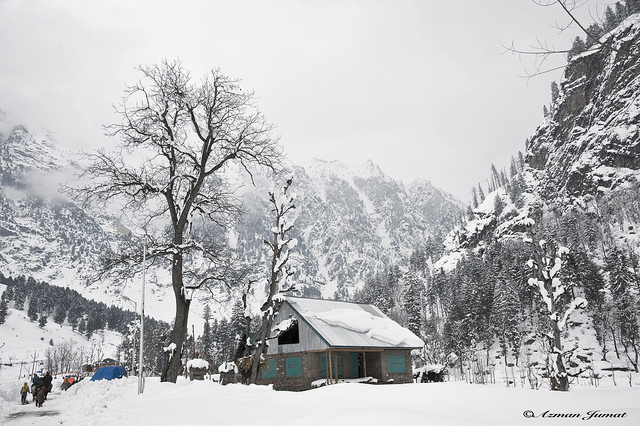 6887399069_7ee3bee76a_z