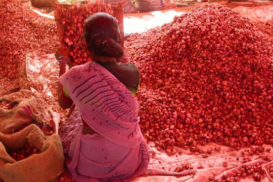 588454-l-inde-du-sud-aux-couleurs-eclatantes