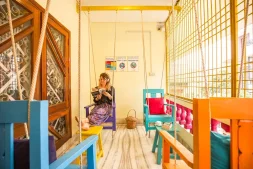 Hostel hopping through Rajasthan