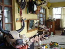 Trekking in McLeodganj Dharamshala