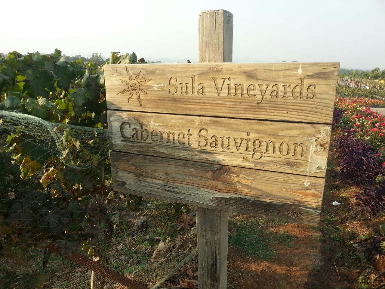 Sula Vineyards, Nasik, Maharashra