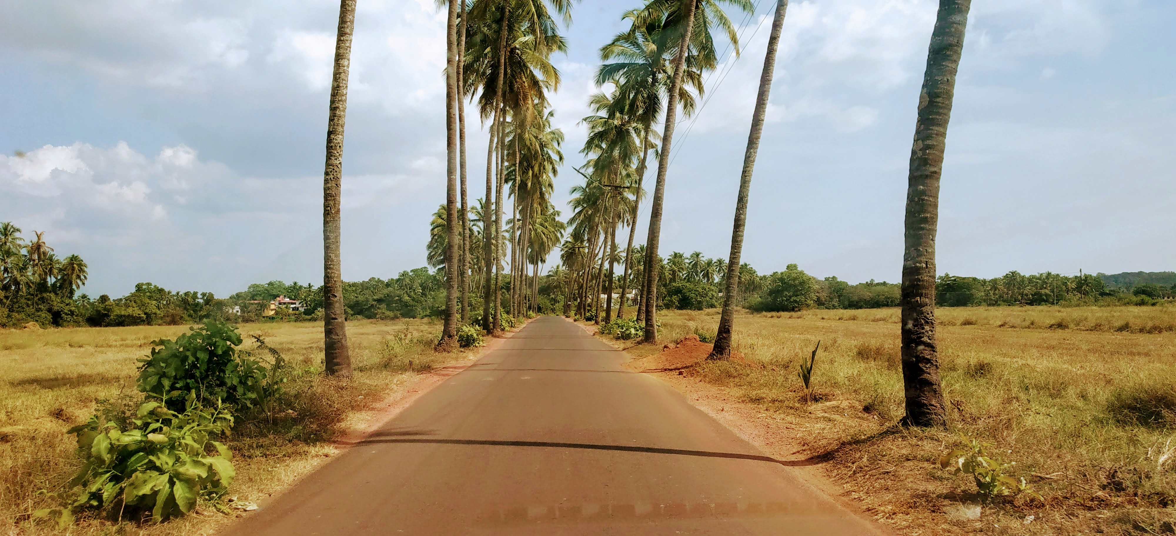 Impfungen für indien 