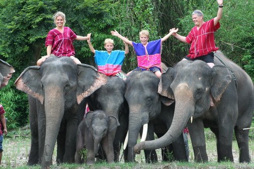 famille et elephants