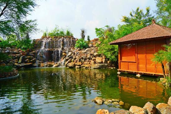 the-tree-house-resort