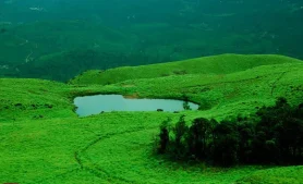 Kerala Anyday: First Stop North Kerala - Wayanad