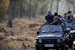 A Safari trip to Tadoba National Park
