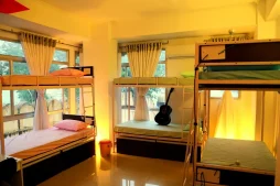 India Someday Review of Zostel, Udaipur