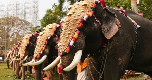 Travelling options from Hampi to Kerala