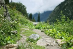 Himachal Pradesh, Thanedhar, wandern in indien