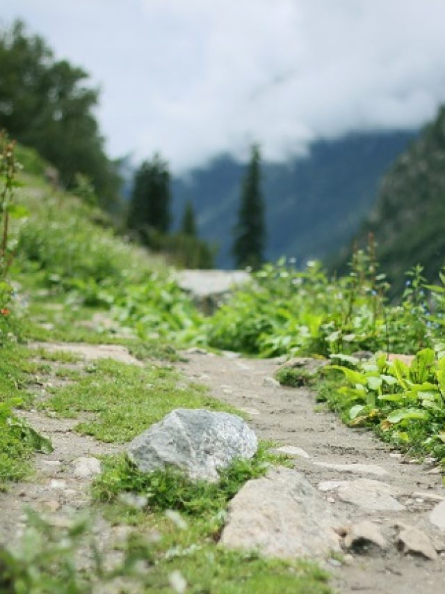 Top 5 Treks in Himachal Pradesh India