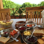 Farm Stay at Krishna Ranch - near Udaipur