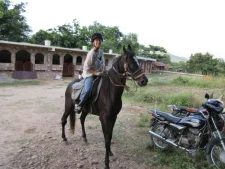 Farm Stay at Krishna Ranch - near Udaipur