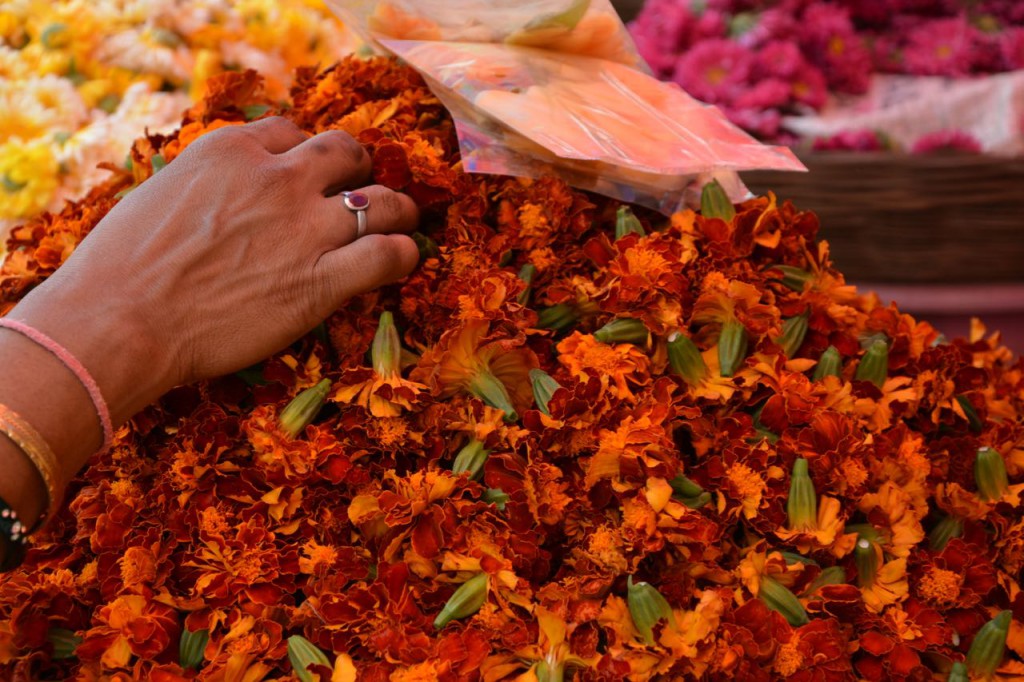 phule market, flower
