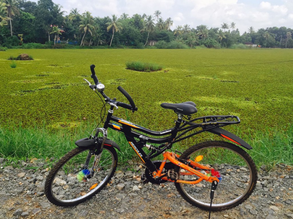 mit Fahrrad durch Kumarakom