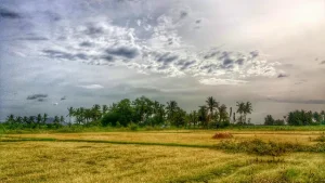 Indian Farmhouse Experience: Farmstays in India