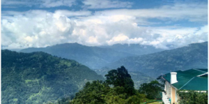 reisezeit, teeplantagen,