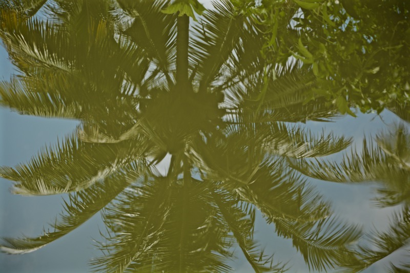 Wetter-Suedindien-Regenzeit-Backwaters-1