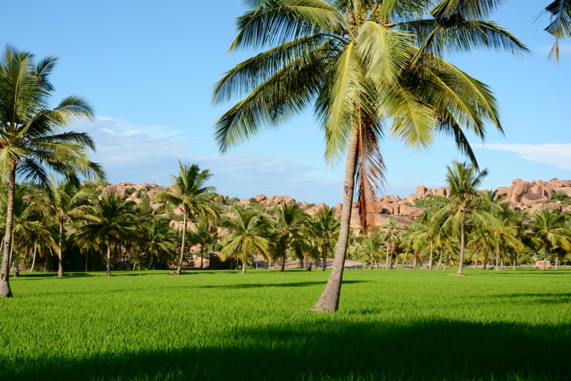 Wetter-Suedindien-Regenzeit-Hampi-1