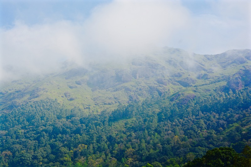 Wetter-Suedindien-Regenzeit-Munnar-2