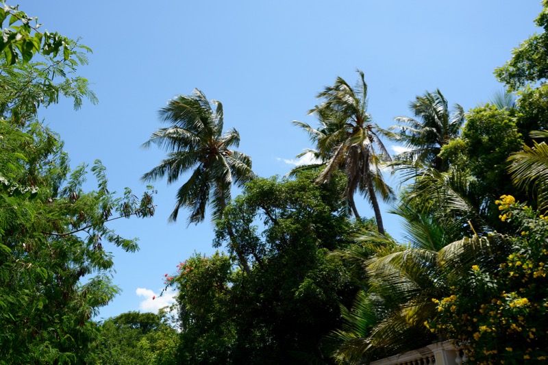 Wetter-Suedindien-Regenzeit-Pondicherry-1