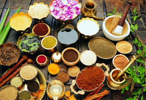 les ingredients de la medecine aurvediuqe