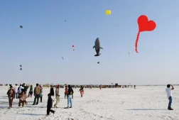 Kite Flying Festival In India