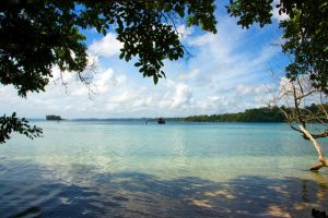 National parks of India, Indian wildlife reserves