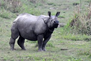 National parks of India, Indian wildlife reserves