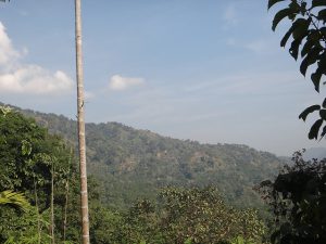 National parks of India, Indian wildlife reserves