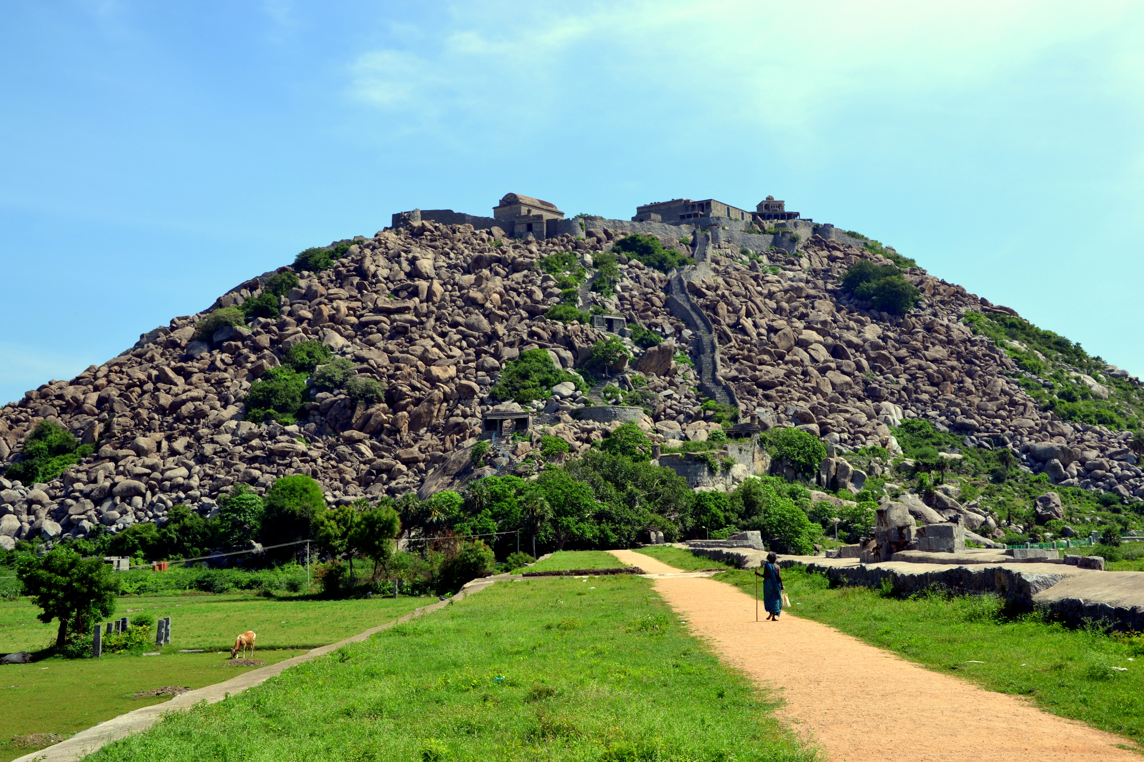 Weather in India in January