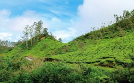 two weeks in south india