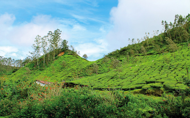 two weeks in south india