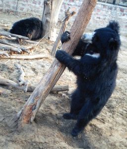 Things to do in Agra