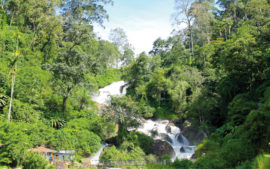 north india or south india