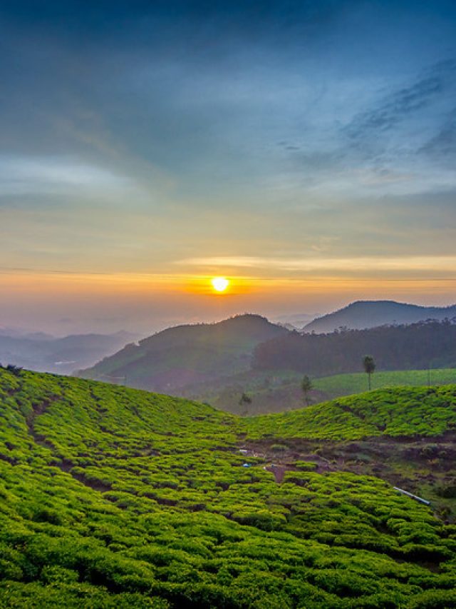 Discover Ooty: India’s Hidden Gem