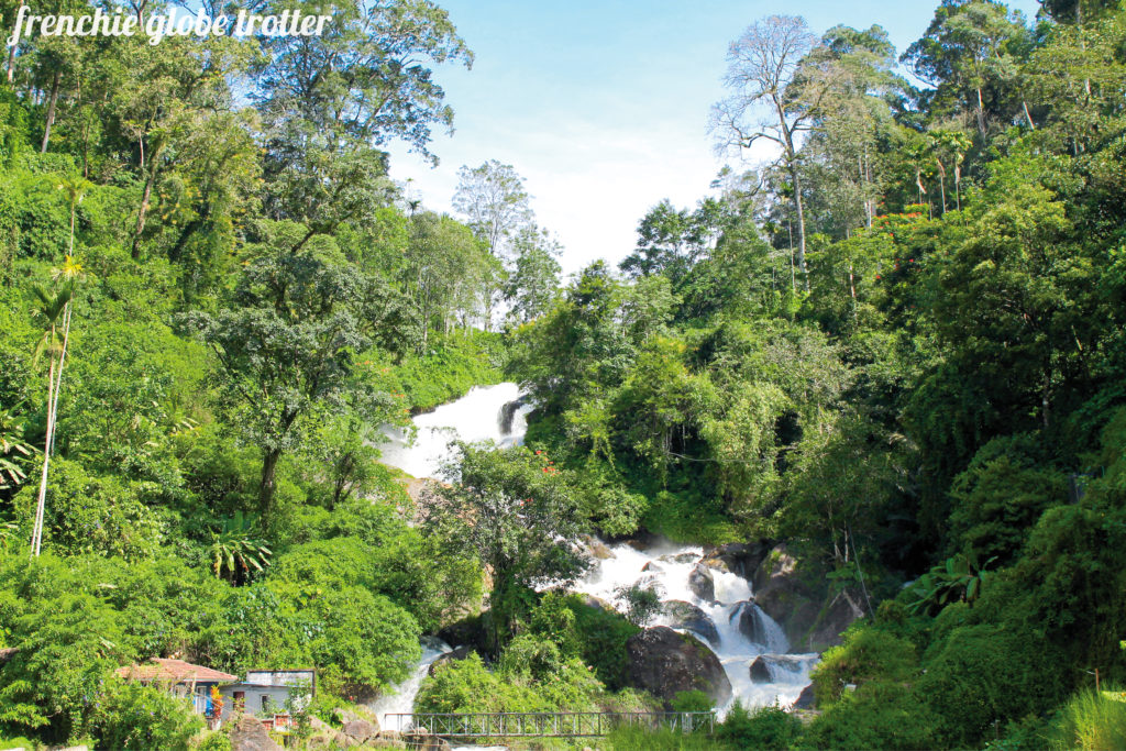 As soon as it starts raining in the Western Ghats the waterfalls and lakes fill with streaming water.