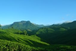Indien munnar, reise nach indien