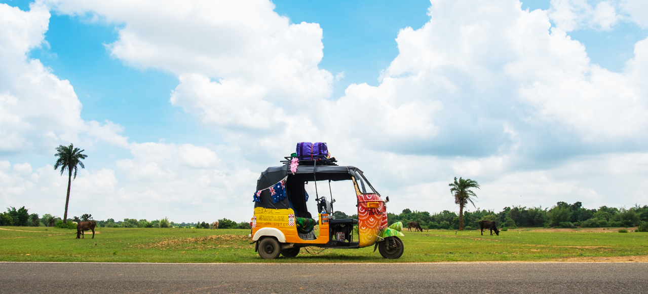 QUAND PARTIR EN INDE ?