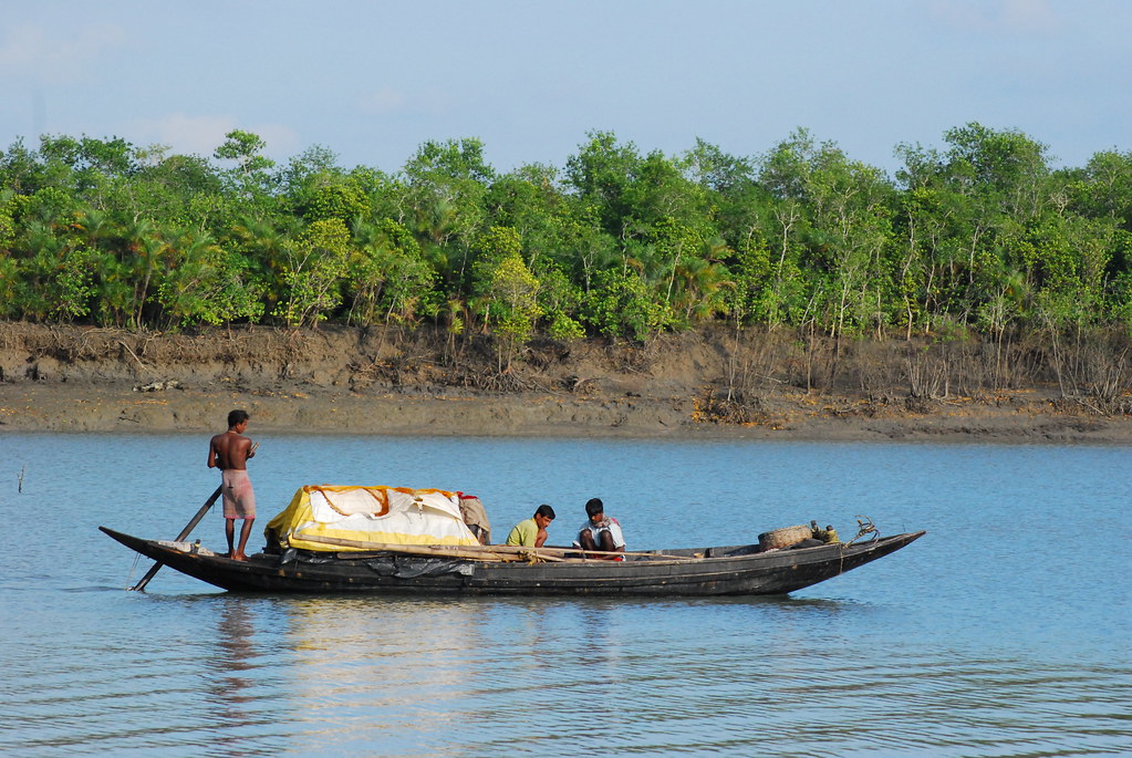 indien Safari Sundarbans