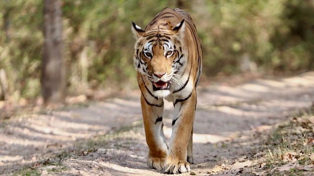 National Parks of India