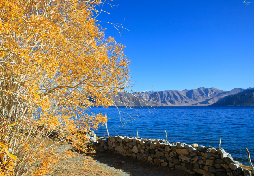 Visit to Leh Ladakh India