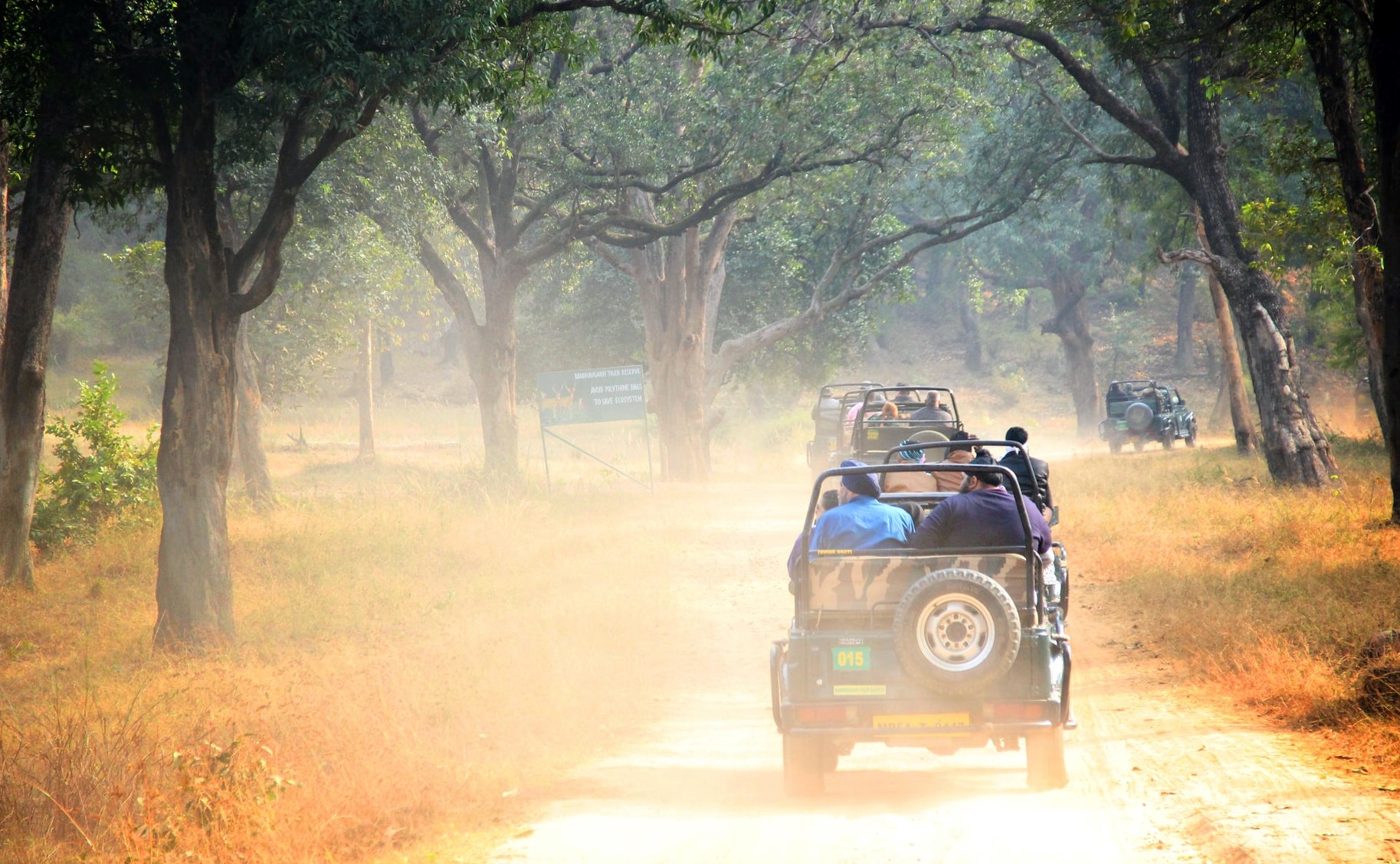 India’s Best Wildlife Stays