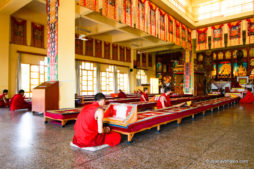 Dharamshala, Monks